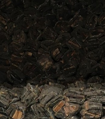 Zeytin Odunu